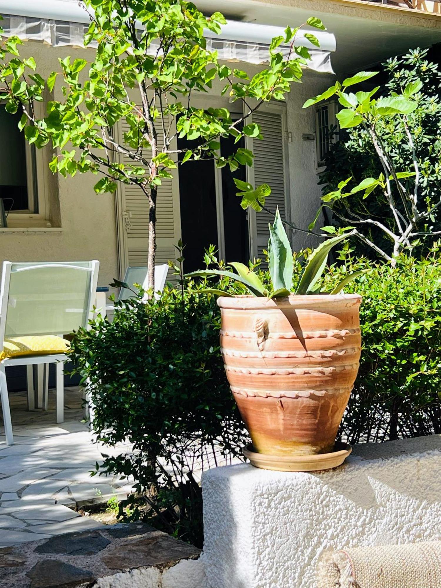 Superbe Appartement Avec Terrasse Jardin Et Parking Prive سان تروبيه المظهر الخارجي الصورة